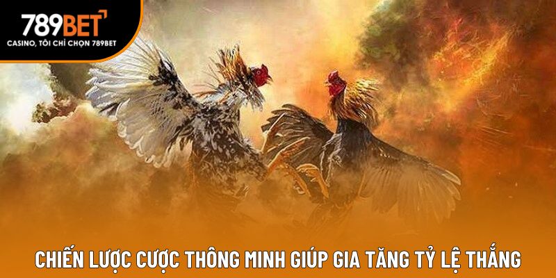 Chiến lược cược thông minh giúp gia tăng tỷ lệ thắng